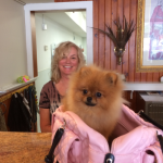 dog groomer barrington il