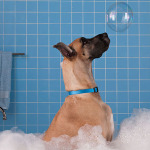 istock_000017881622_medium