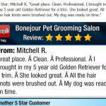 positive-review-bonejour-pet-grooming-barrington-il